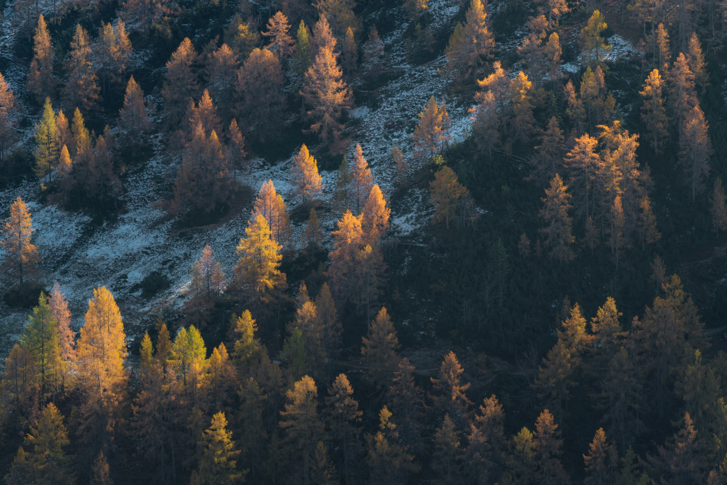 the sun shines on trees near a snow covered hillside