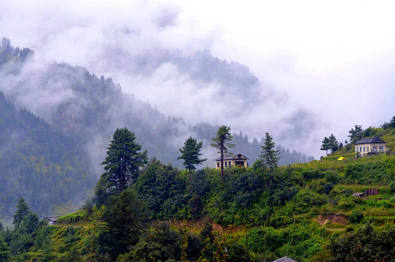 some very tall mountains covered with clouds and trees