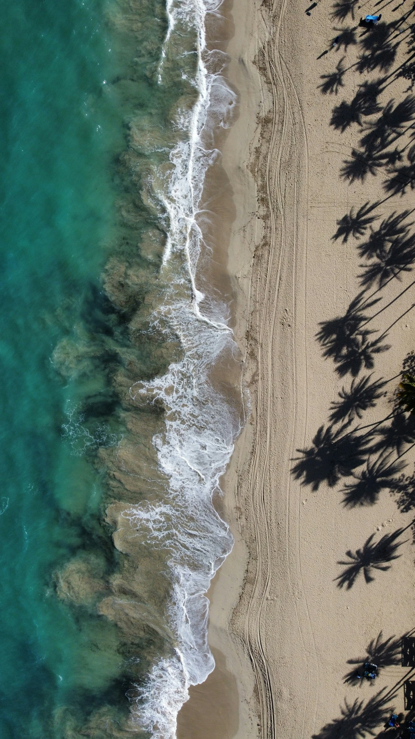 the shadow of several people on a sandy beach