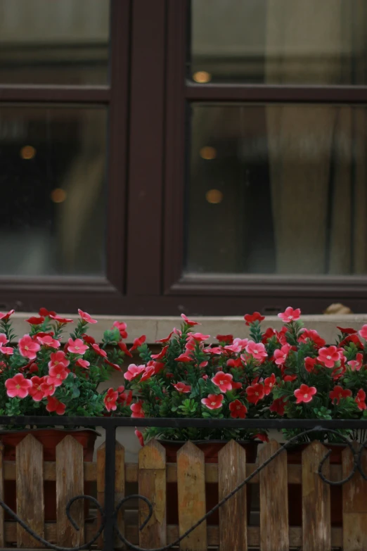 a couple of windows are behind a wooden fence