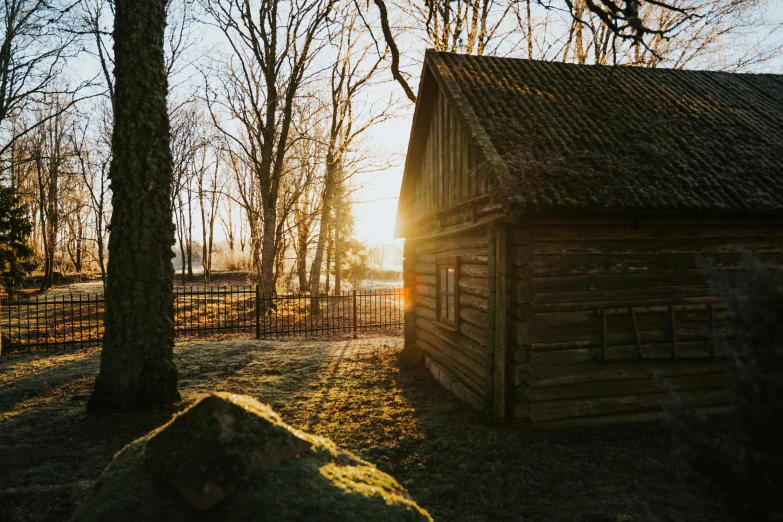 the sun shines in the woods near an old wooden shack