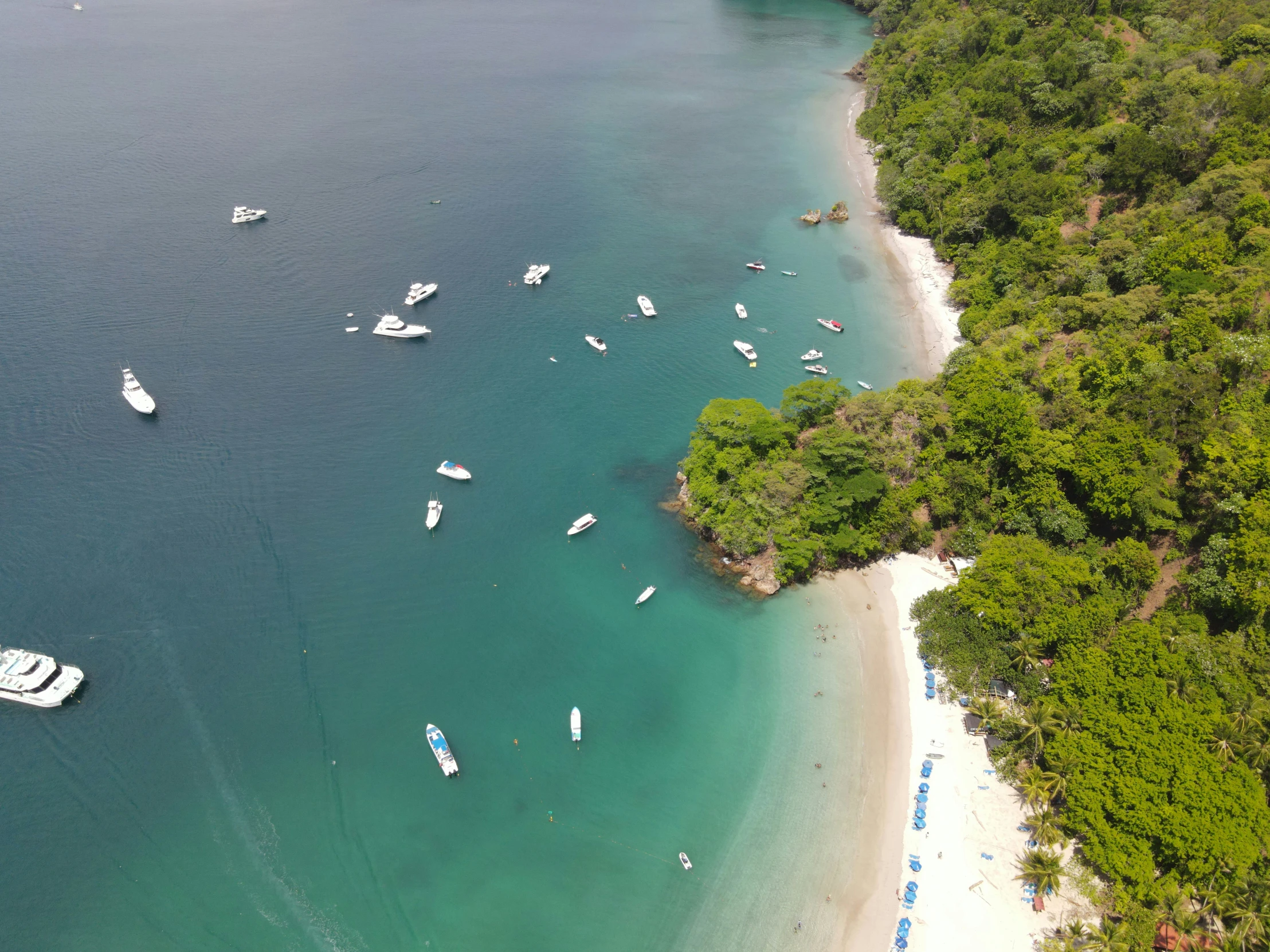 boats on the water off a beach in front of some trees