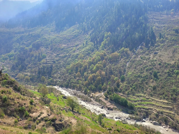 a large valley with trees near the water