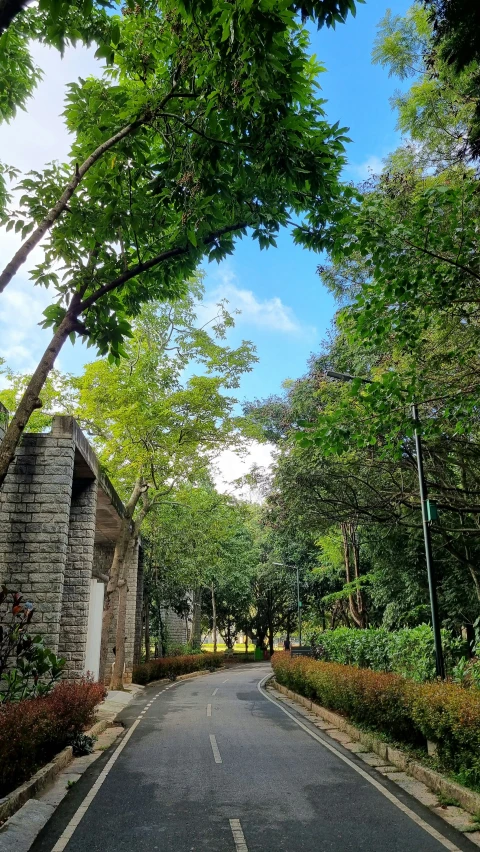 an empty road is shown between trees and buildings