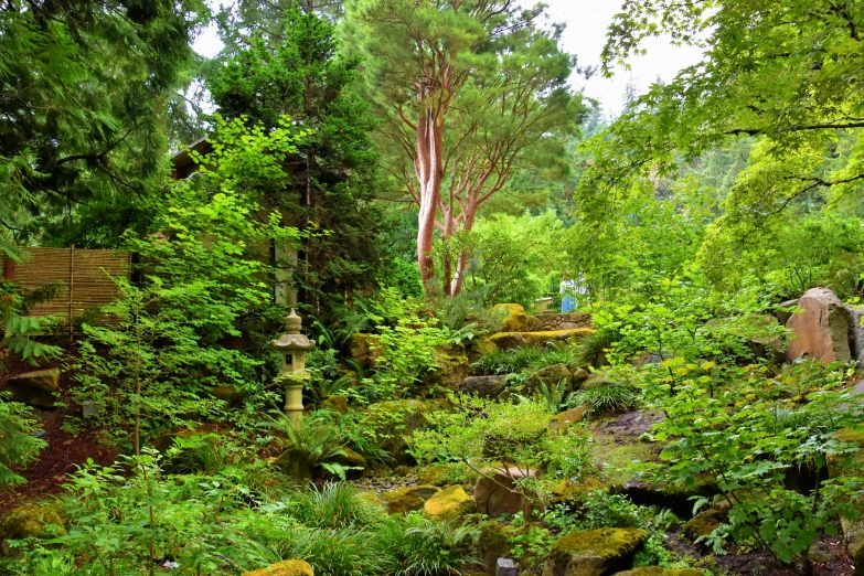 a green area with lots of trees and a fire hydrant