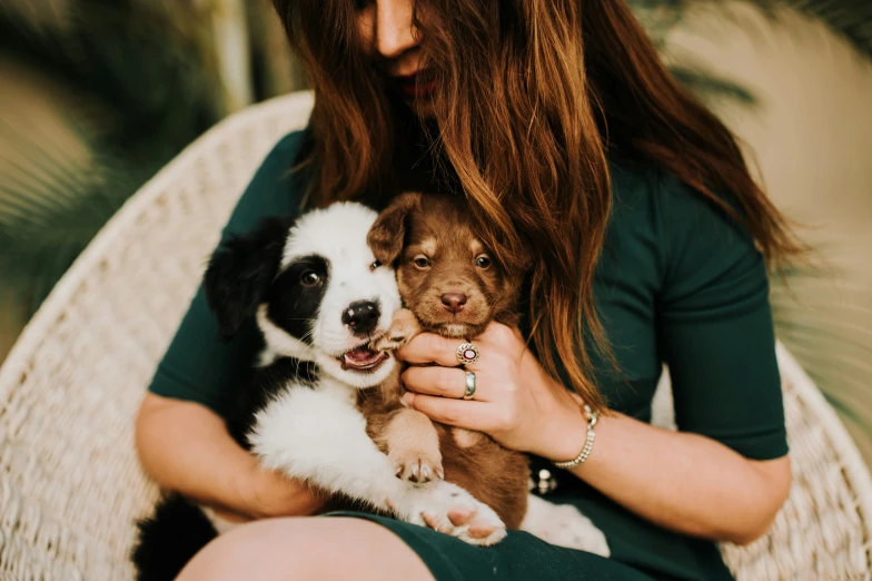 a woman is sitting in a chair holding two puppies