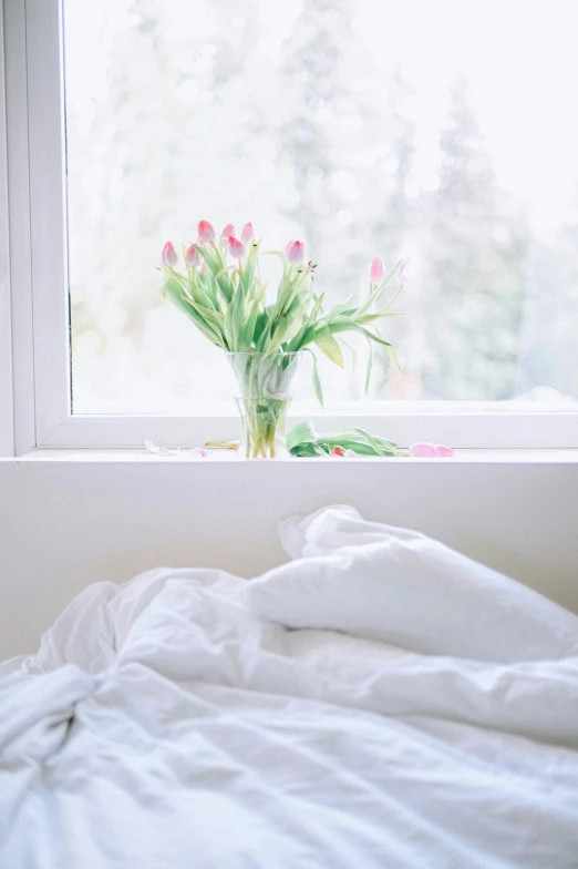 a vase with tulips sits by the window