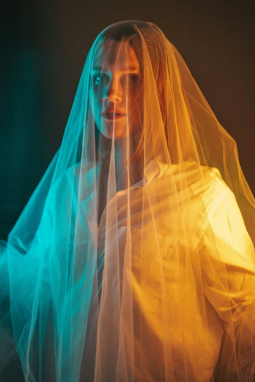 a woman is in wedding dress and a veil on her head