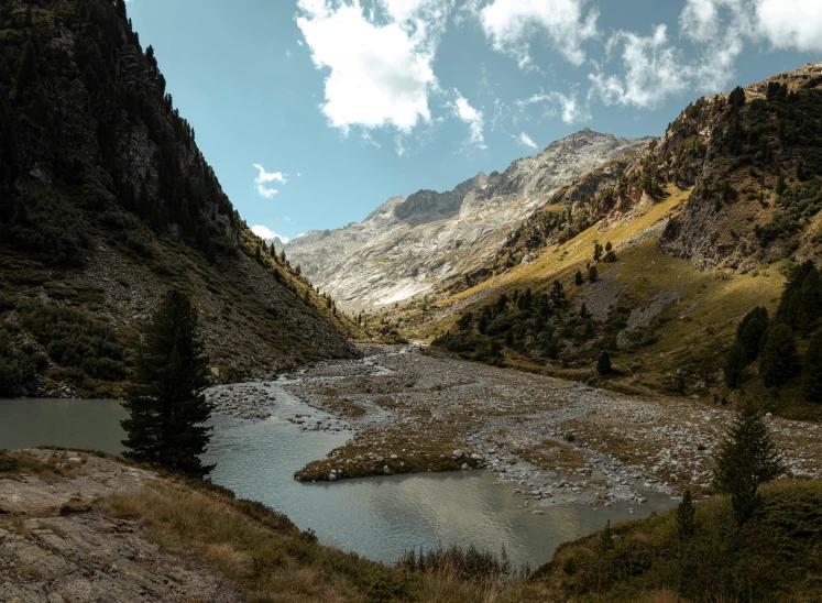 a mountain with a pond and some bushes