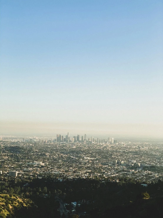 the view from a hill in beverly hills shows skyscrs and a tree line