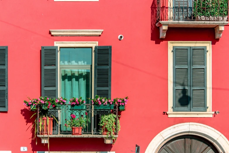 the window boxes on this building have green shutters and flowers