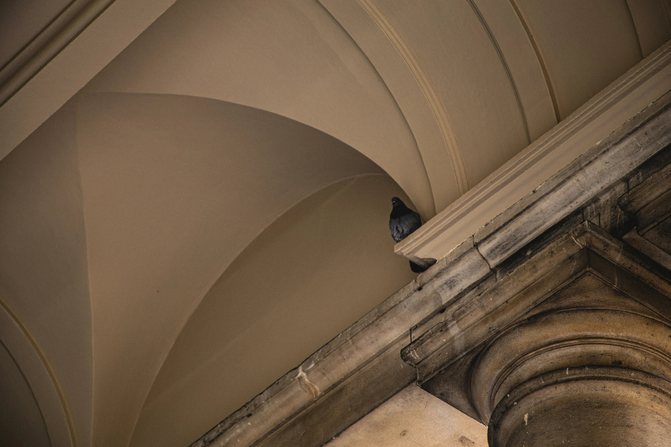 two birds perch on the top of an arch