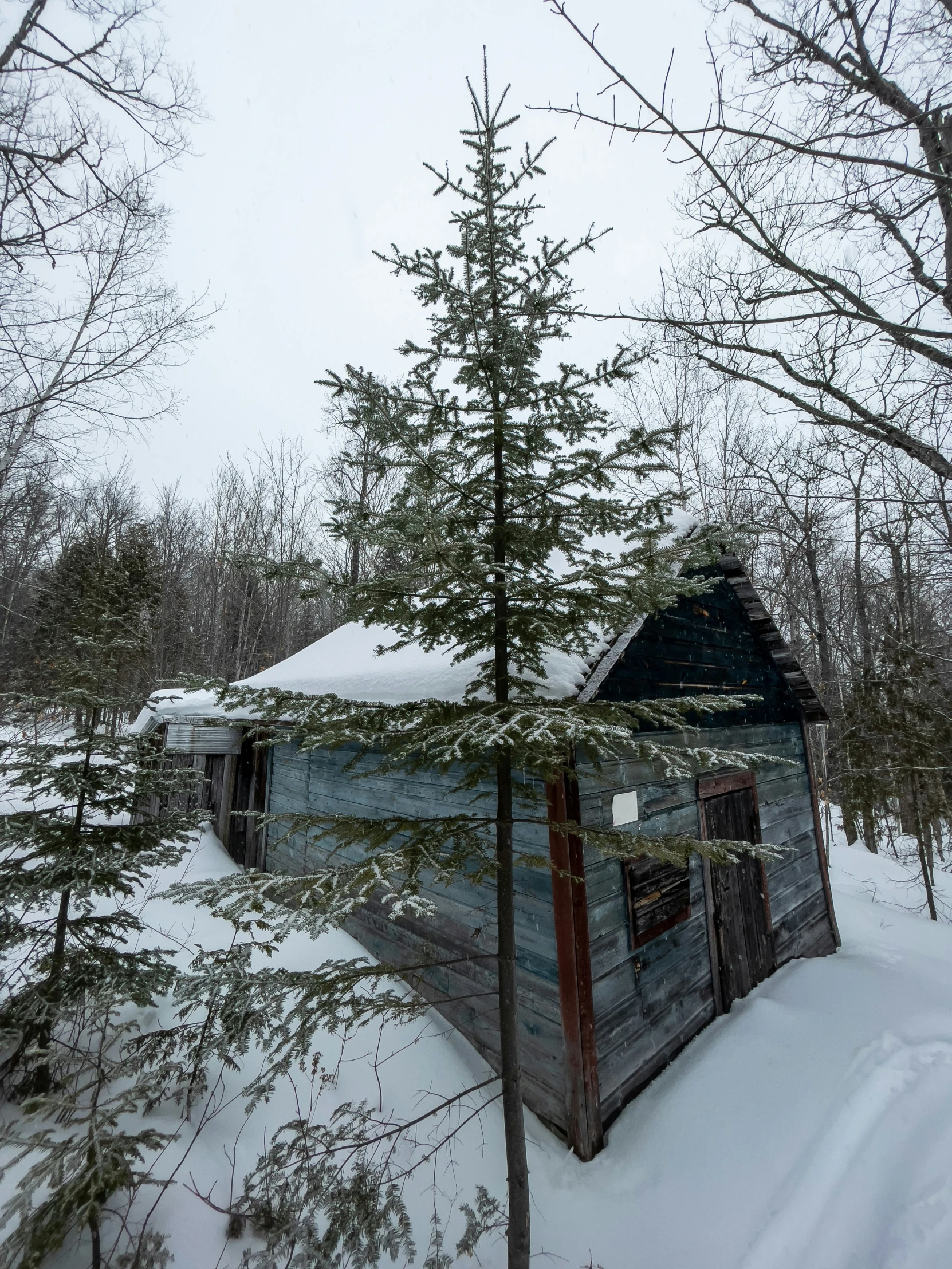 a small log cabin sits in the snow