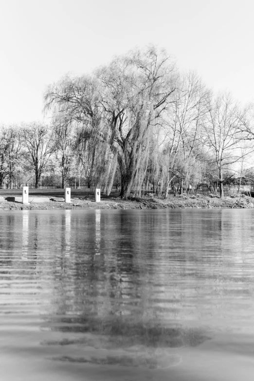 a large body of water in front of some trees