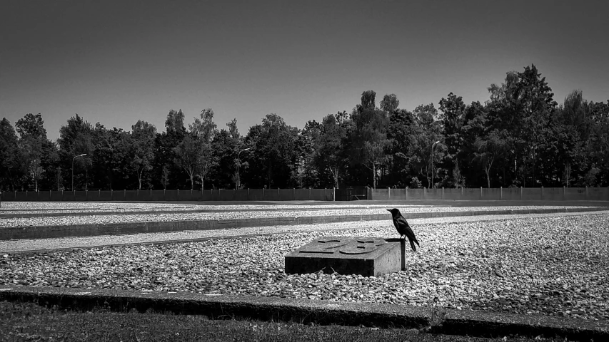 the bird is standing on the large box