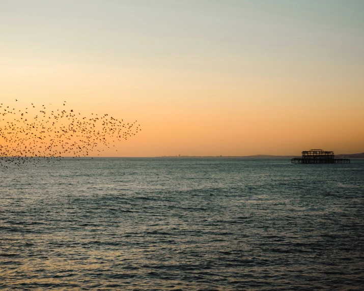 the birds are flying close to each other in the sky