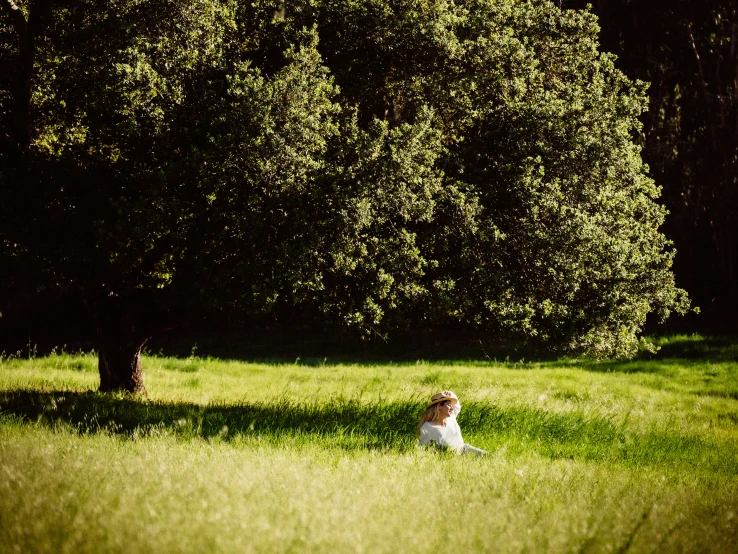 a young child sitting in the grass looking up at a tree