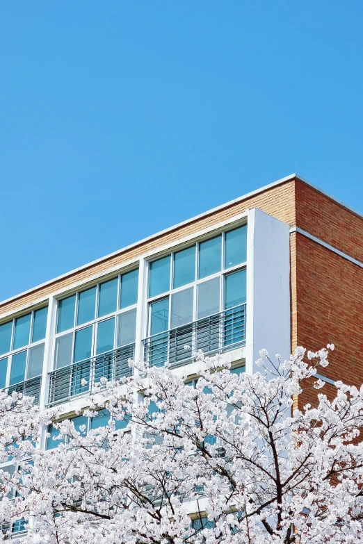 a building with some trees in front