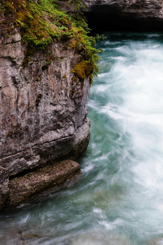 a canyon filled with water surrounded by a forest