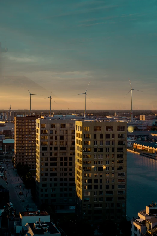 tall buildings sit next to each other as a body of water looks beyond them