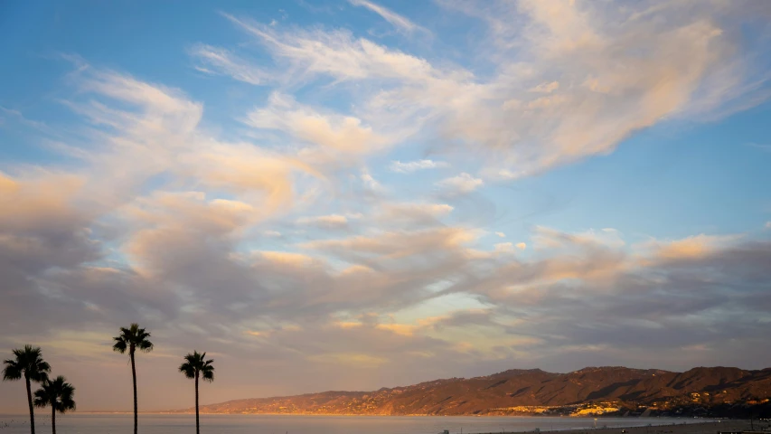 palm trees line the water and a beautiful sunset