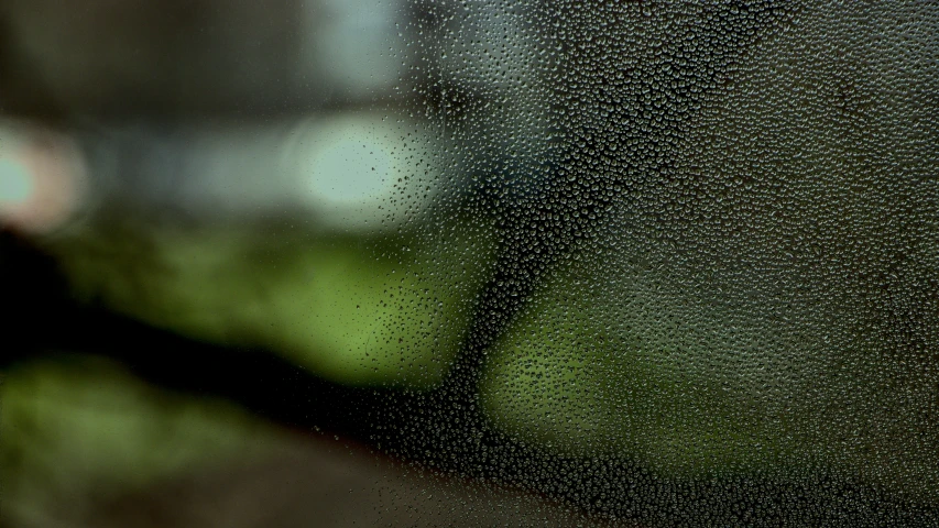 rain drops on a glass window with street and trees in background