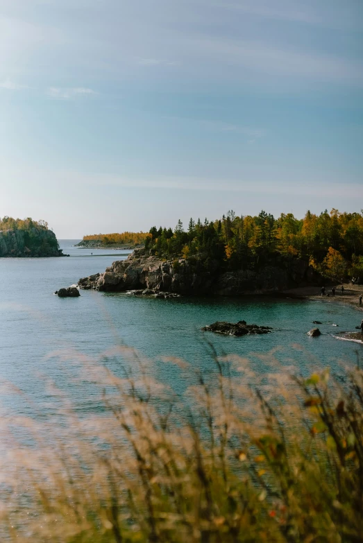 there is a body of water near some trees