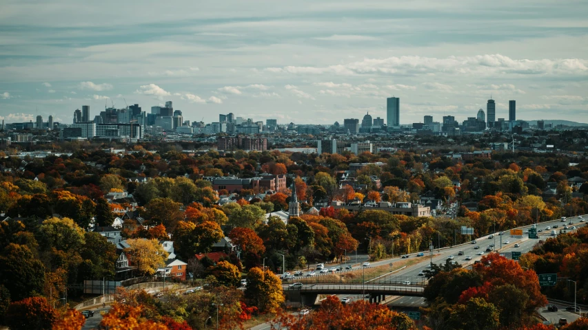 view of a city with trees and cars