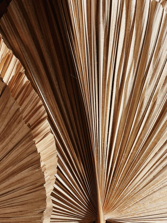 a close up image of an umbrella made from books