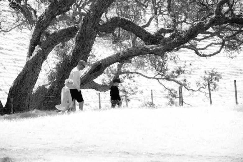 a couple of people standing by a tree