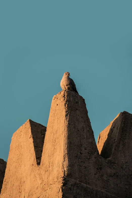 a bird sitting on top of a tall sand pyramid