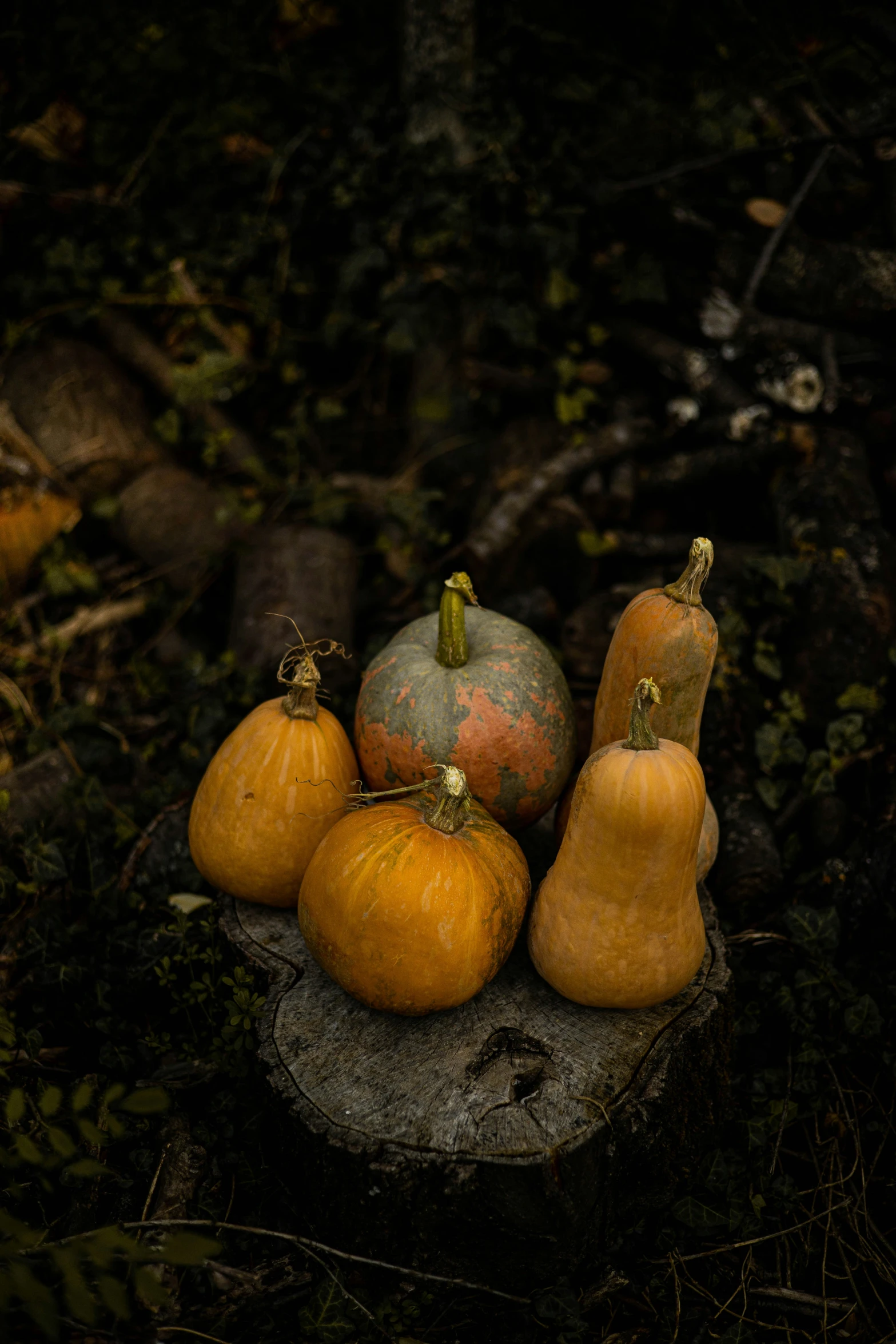 five gourds in a pile and three on a stone