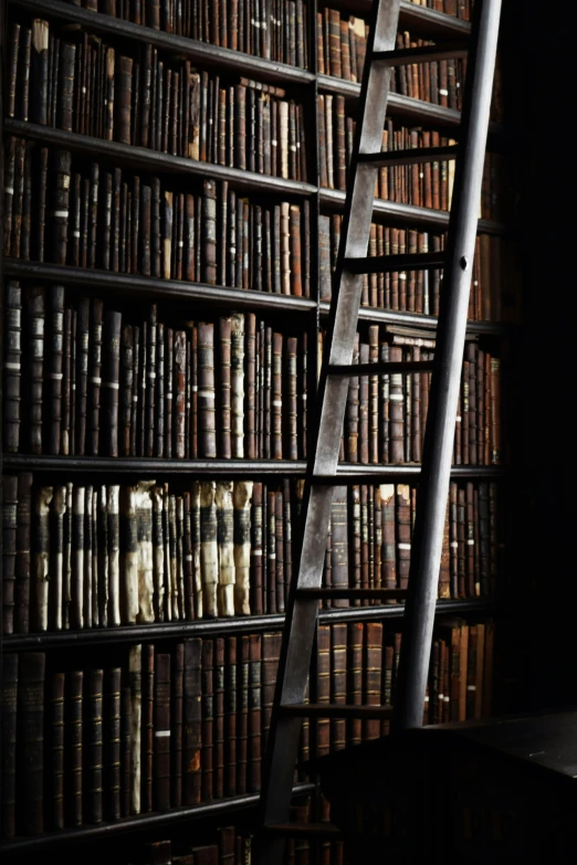 an empty ladder stands near a bookshelf