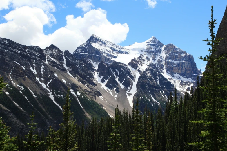 snow capped mountain peak surrounded by evergreens and evergreen trees