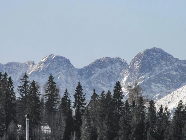 mountains and pine trees with white snow on them