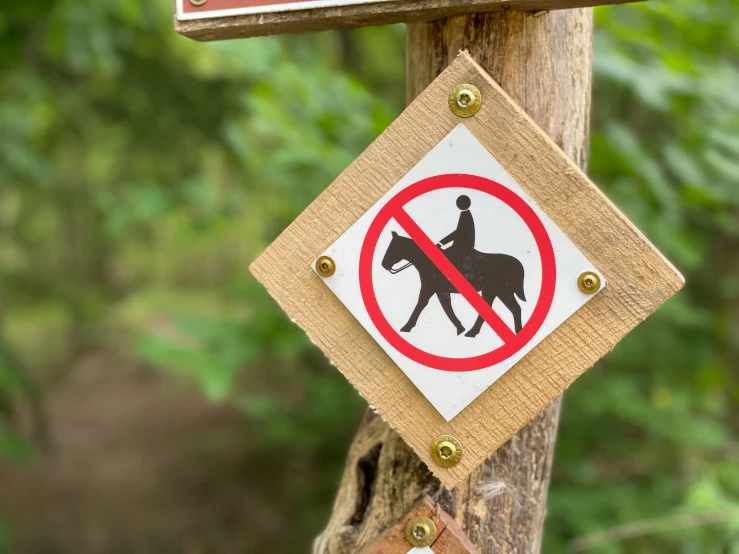 a sign on wood warning to not ride the horse