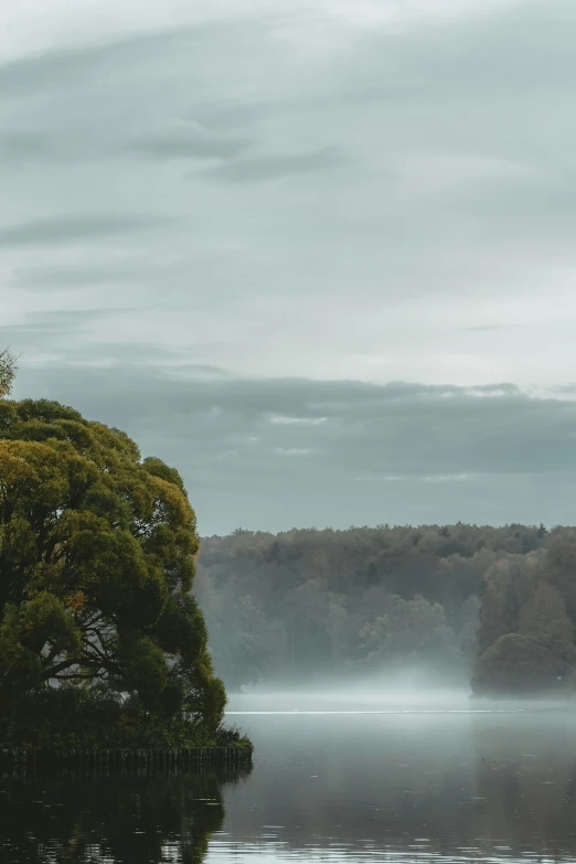 a lighthouse that is on a tree near water