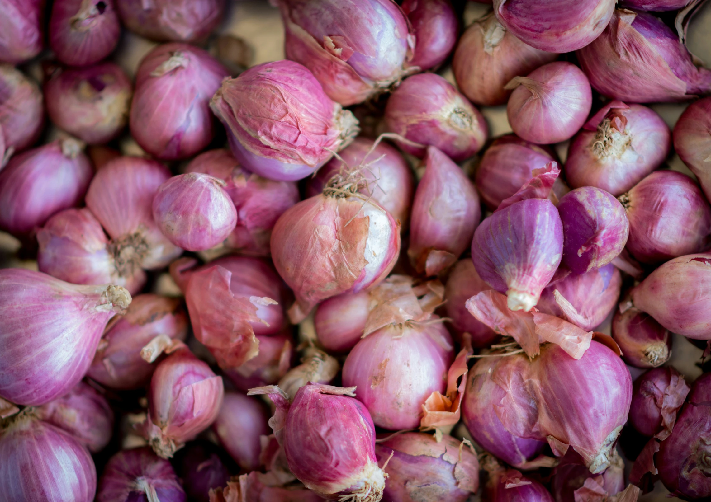 a lot of garlic sitting in a bowl next to each other