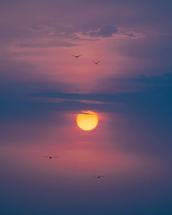 sunset with several birds flying in the sky