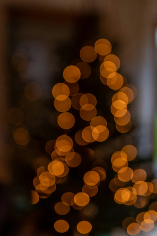 the bottle is next to a blurred christmas tree