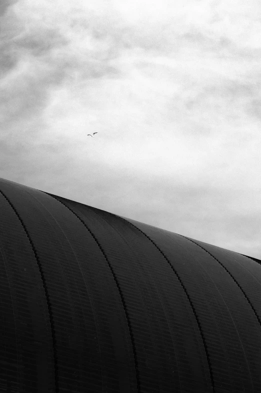 a bird flying over a building in the sky