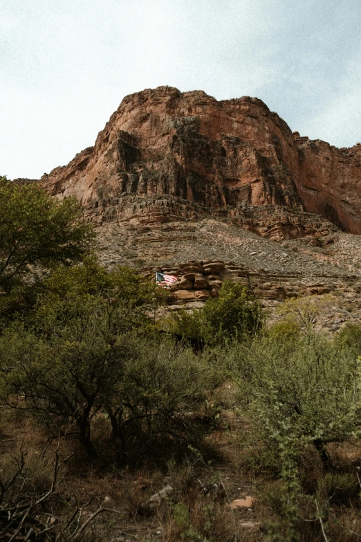 a lone car on the road in the woods near mountains