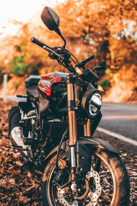 a close up po of a motor bike parked in the fall leaves