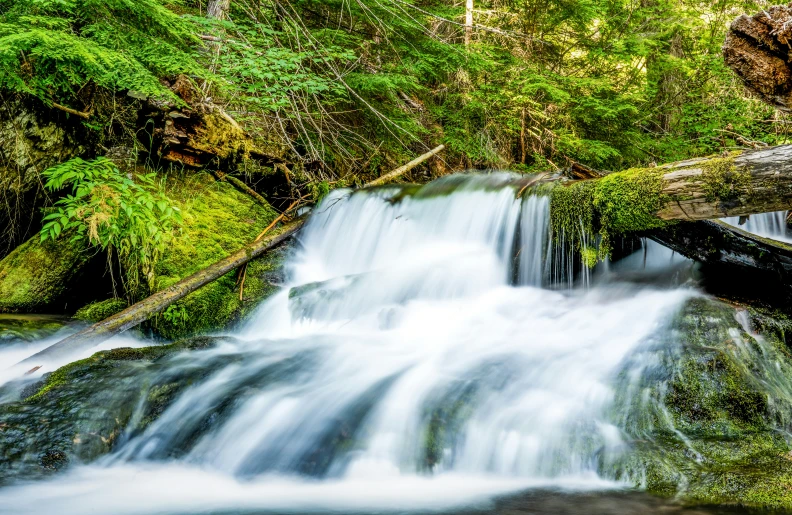 a stream running over moss covered rocks in the forest