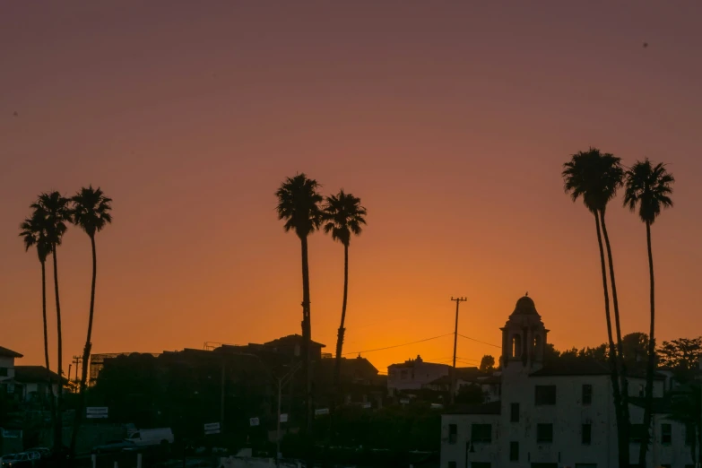 a view of the setting sun and silhouette of a few palm trees