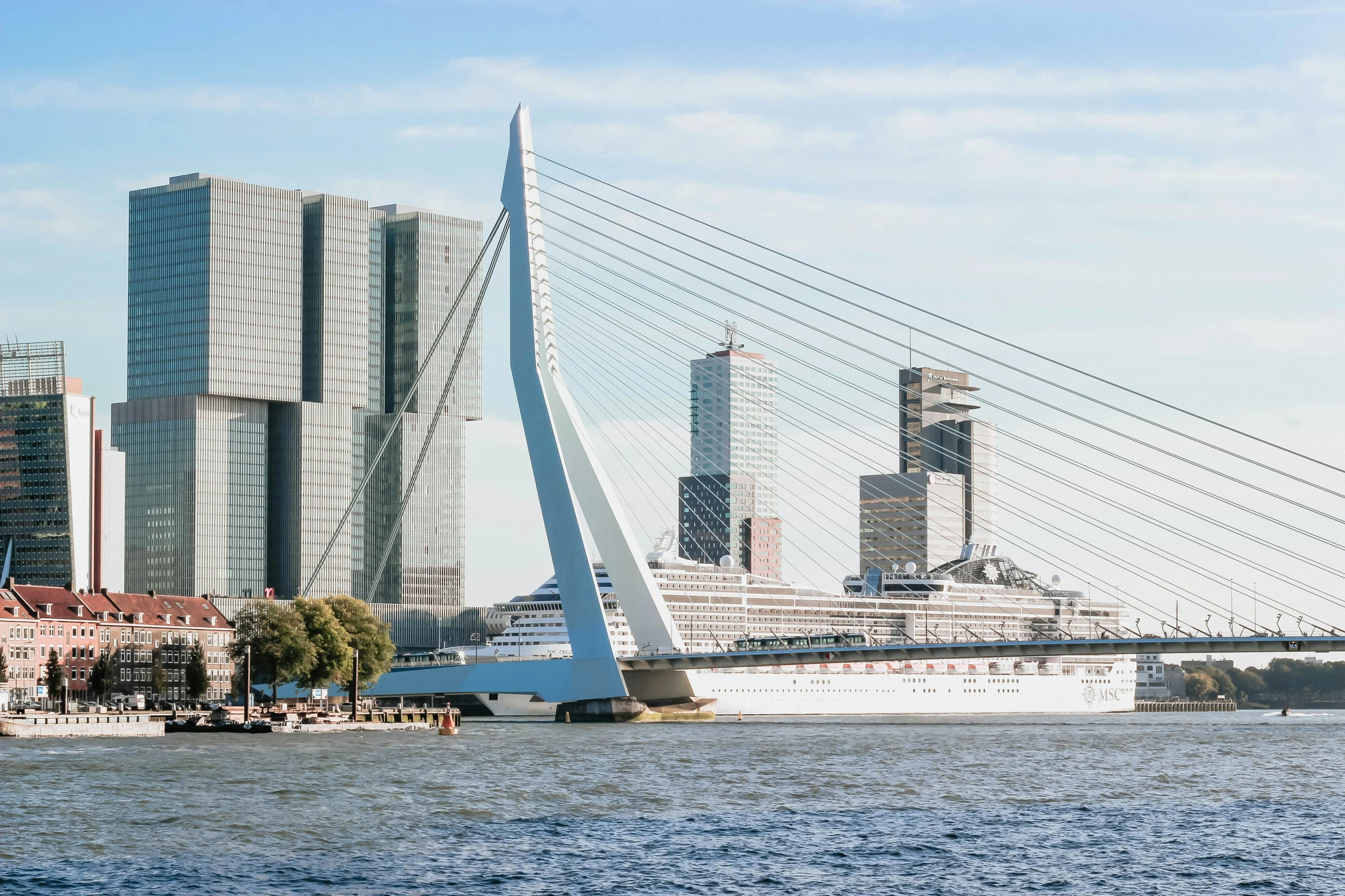 a large white ship sailing by a city