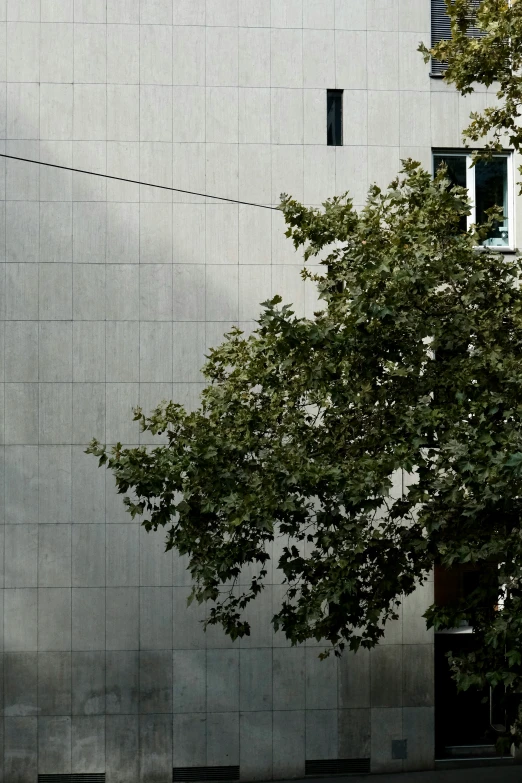 the grey building is in front of a tree