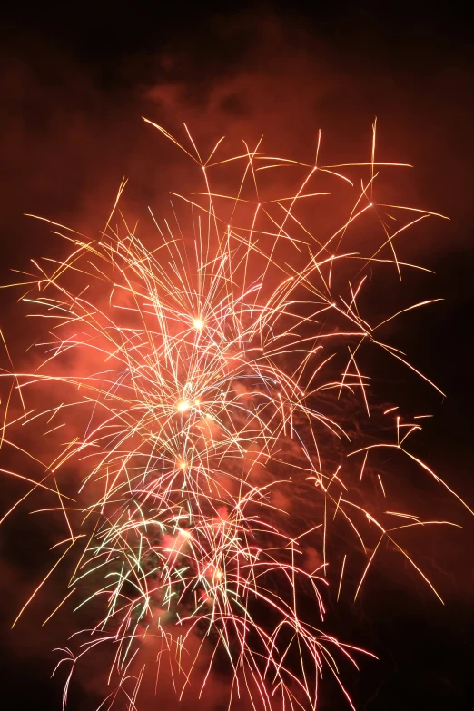 the fireworks are brightly colored and lit up