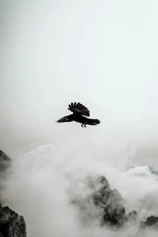 an eagle is flying over some low lying clouds