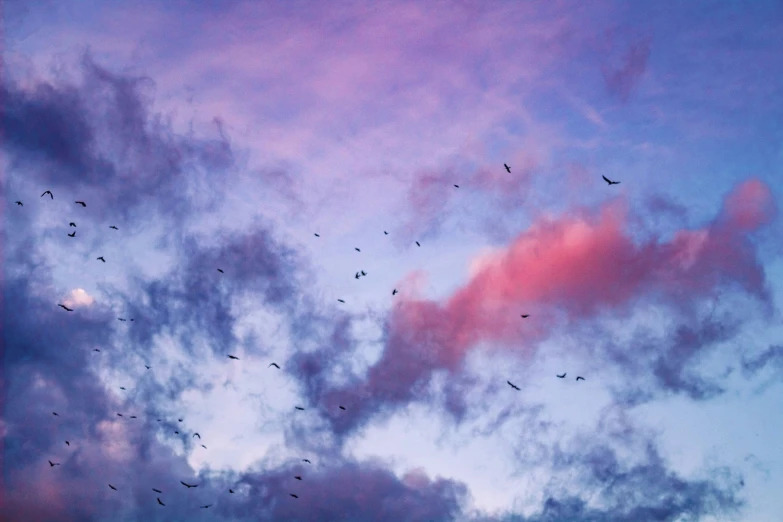 the sky is blue with pink clouds and some black birds flying overhead